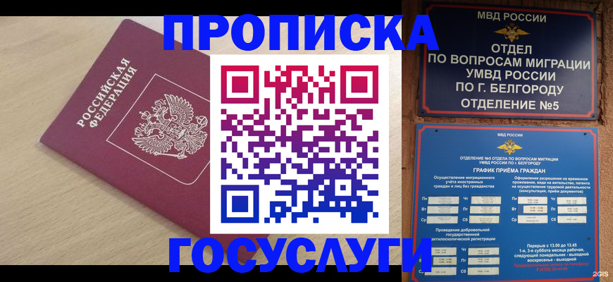 прописка законно в Железногорск-Илимском
